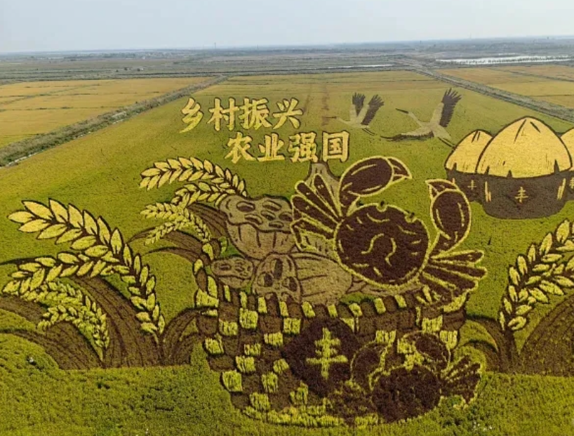 微信图片_20240806161944.png